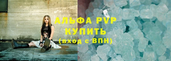 СК Алексин